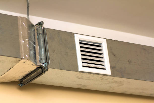 Air Duct Mold Removal in Higginsville, MO